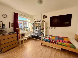 Pronájem bytu 1+kk, České Budějovice, Nová, 30 m2