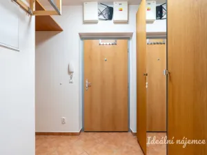 Pronájem bytu 1+kk, Praha - Kyje, Sicherova, 33 m2