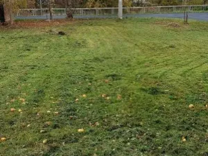 Prodej zahrady, Libouchec, 481 m2