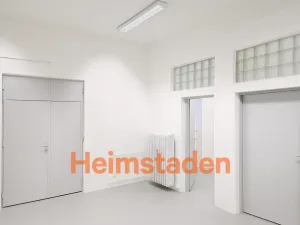 Pronájem obchodního prostoru, Havířov - Město, Hlavní třída, 119 m2