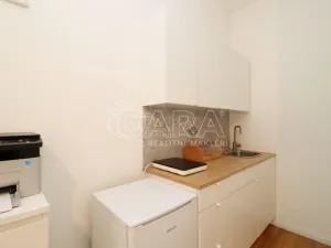 Pronájem bytu 1+kk, Praha, 29 m2