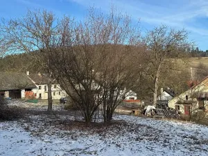 Prodej pozemku pro bydlení, Chotilsko, 4700 m2