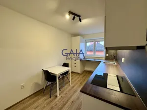 Pronájem bytu 2+1, Hodonín, Křičkova, 57 m2