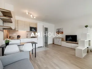 Pronájem bytu 1+kk, Praha - Žižkov, Olgy Havlové, 38 m2