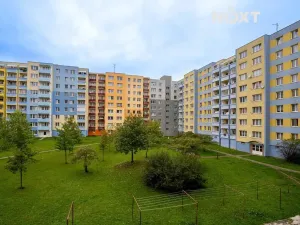 Pronájem bytu 2+kk, České Budějovice, V. Volfa, 43 m2