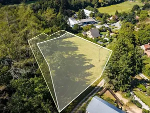 Prodej pozemku pro bydlení, Plasy, 3866 m2