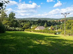 Prodej pozemku pro bydlení, Plasy, 3866 m2