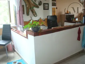 Prodej pozemku pro bydlení, Horní Dvořiště, 1305 m2