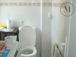 Prodej pozemku pro bydlení, Horní Dvořiště, 1305 m2