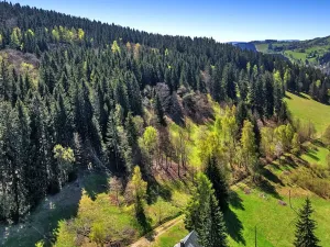 Prodej pozemku pro bydlení, Vítkovice, 21708 m2