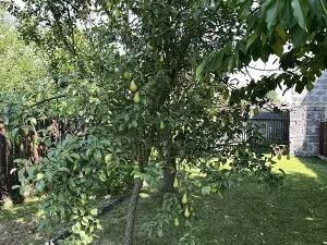 Prodej rodinného domu, Jistebník, 328 m2