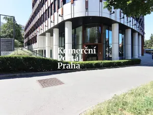 Pronájem restaurace, Praha - Nusle, Lomnického, 470 m2