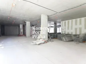 Pronájem restaurace, Praha - Nusle, Lomnického, 470 m2