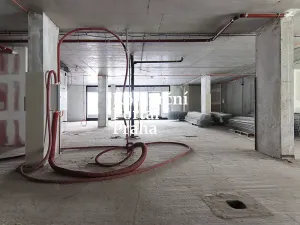 Pronájem restaurace, Praha - Nusle, Lomnického, 470 m2