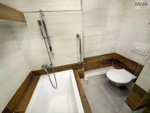 Pronájem bytu 1+kk, Teplice, U divadla, 38 m2