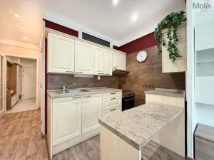 Pronájem bytu 1+kk, Teplice, U divadla, 38 m2