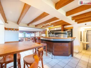 Prodej restaurace, Boršov nad Vltavou - Poříčí, Na Výši, 297 m2