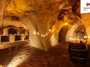 Pronájem ubytování, Nový Šaldorf-Sedlešovice, Na Staré cestě, 176 m2