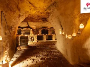 Pronájem ubytování, Nový Šaldorf-Sedlešovice, Na Staré cestě, 176 m2