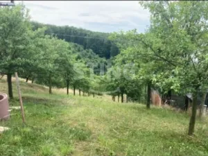 Prodej sadu/vinice, Věteřov, 1592 m2
