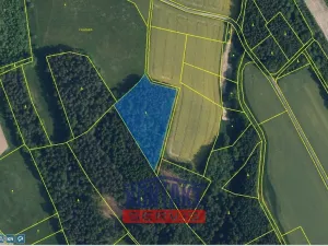 Prodej lesa, Sychrov - Radostín, 30767 m2