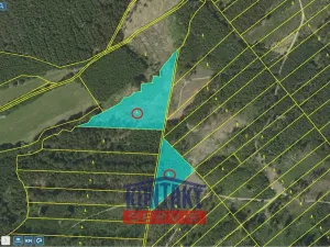 Prodej lesa, Jevíčko, 70821 m2