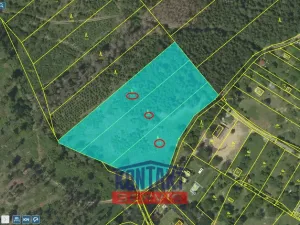 Prodej lesa, Jevíčko, 70821 m2