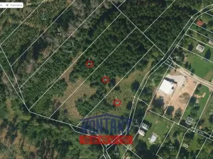 Prodej lesa, Jevíčko, 70821 m2