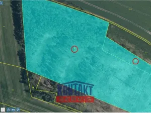 Prodej lesa, Bítouchov, 100105 m2