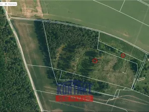 Prodej lesa, Bítouchov, 100105 m2