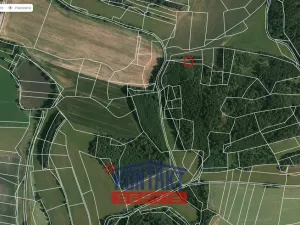 Prodej lesa, Čepřovice, 2819 m2