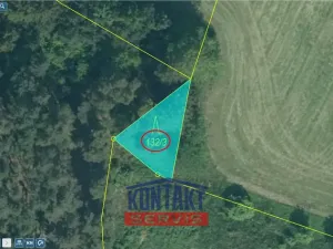 Prodej lesa, Čepřovice, 2819 m2