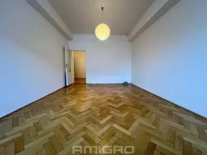 Pronájem bytu 1+1, Brno, Cihlářská, 49 m2