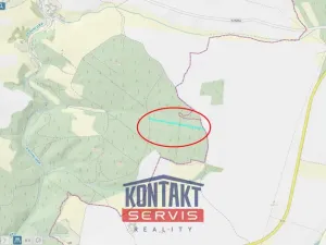 Prodej lesa, Jickovice, 32955 m2