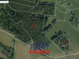 Prodej lesa, Jickovice, 32955 m2