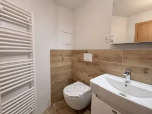 Pronájem bytu 2+kk, České Budějovice, Na Zlaté stoce, 63 m2