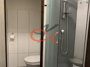 Pronájem bytu 1+kk, Rožnov pod Radhoštěm, Borová, 28 m2