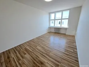Pronájem bytu 1+kk, Hradec Králové, Nerudova, 30 m2
