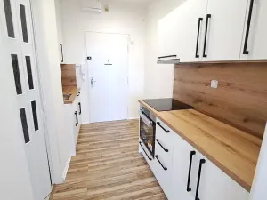 Pronájem bytu 1+kk, Hradec Králové, Nerudova, 30 m2