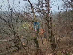 Prodej chaty, Újezd nade Mží, 25 m2