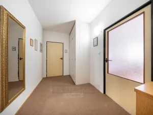 Prodej bytu 3+1, Český Krumlov - Plešivec, Sídliště Plešivec, 80 m2