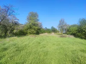 Prodej pozemku pro bydlení, Šebrov-Kateřina, 1956 m2