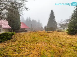 Prodej chalupy, Kraslice - Černá, 192 m2