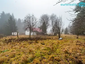 Prodej chalupy, Kraslice - Černá, 192 m2