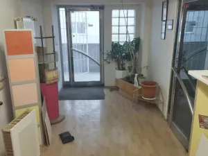 Pronájem obchodního prostoru, Haňovice, 500 m2