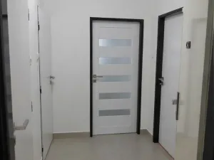 Pronájem bytu 1+1, České Budějovice - České Budějovice 3, Nerudova, 39 m2