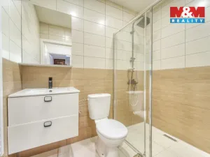 Prodej rodinného domu, Chotěšov, Starý mlýn, 353 m2