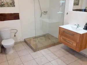 Prodej rodinného domu, Bílá Lhota - Hradečná, 250 m2