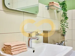 Prodej bytu 3+kk, Borek, Družstevní, 67 m2