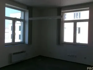Pronájem kanceláře, Brno, Cejl, 267 m2
